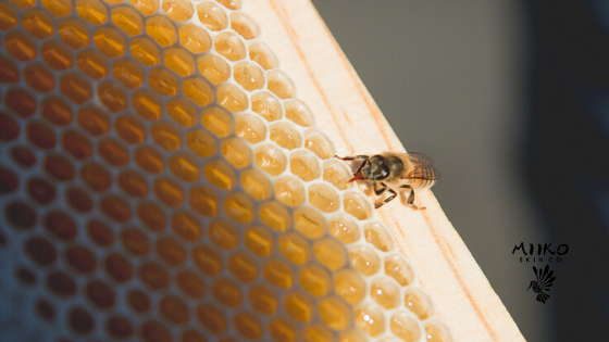 Farm-2-Face: Meet the Beekeeper