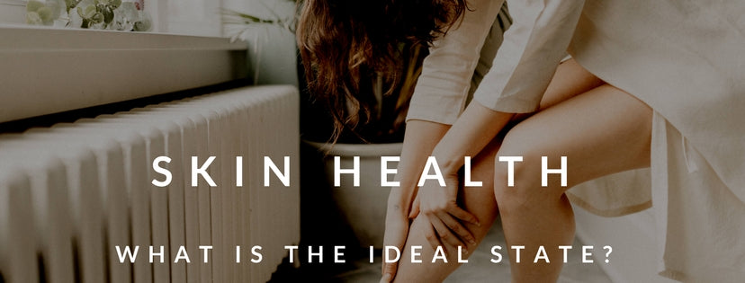 Skin Health: What is the Ideal State?